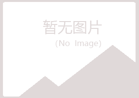 大理紫山能源有限公司